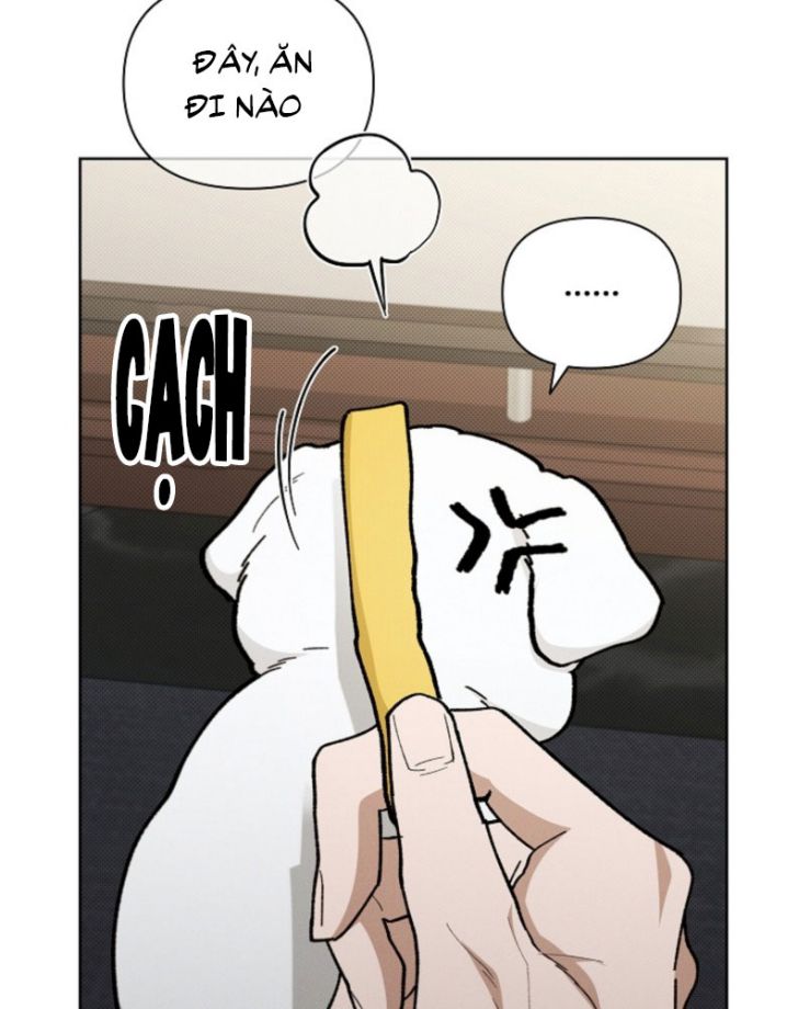 ĐỪNG CHẠM VÀO CÚN CON CỦA TÔI Chap 4 - Trang 4