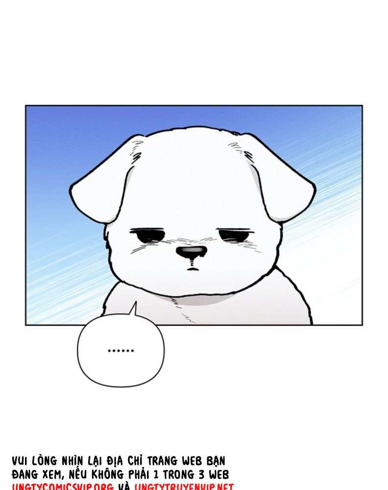 ĐỪNG CHẠM VÀO CÚN CON CỦA TÔI Chap 5 - Trang 4
