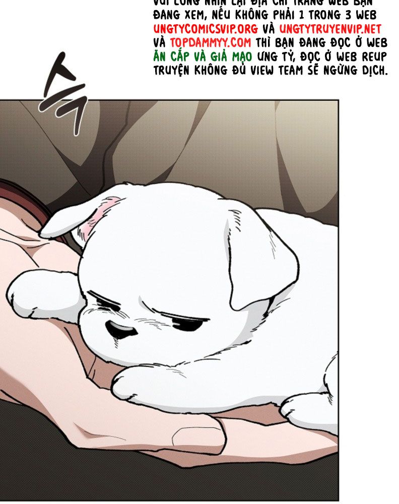 ĐỪNG CHẠM VÀO CÚN CON CỦA TÔI Chap 5 - Trang 4