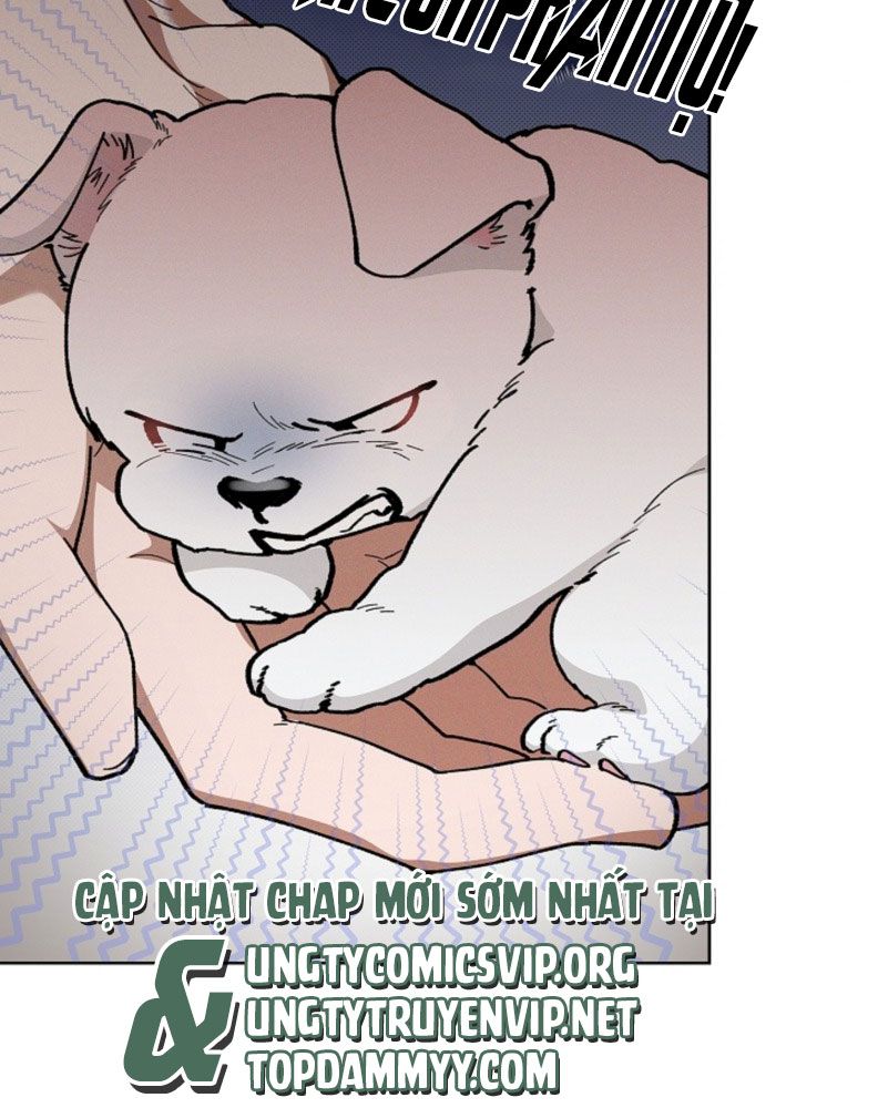 ĐỪNG CHẠM VÀO CÚN CON CỦA TÔI Chap 5 - Trang 4