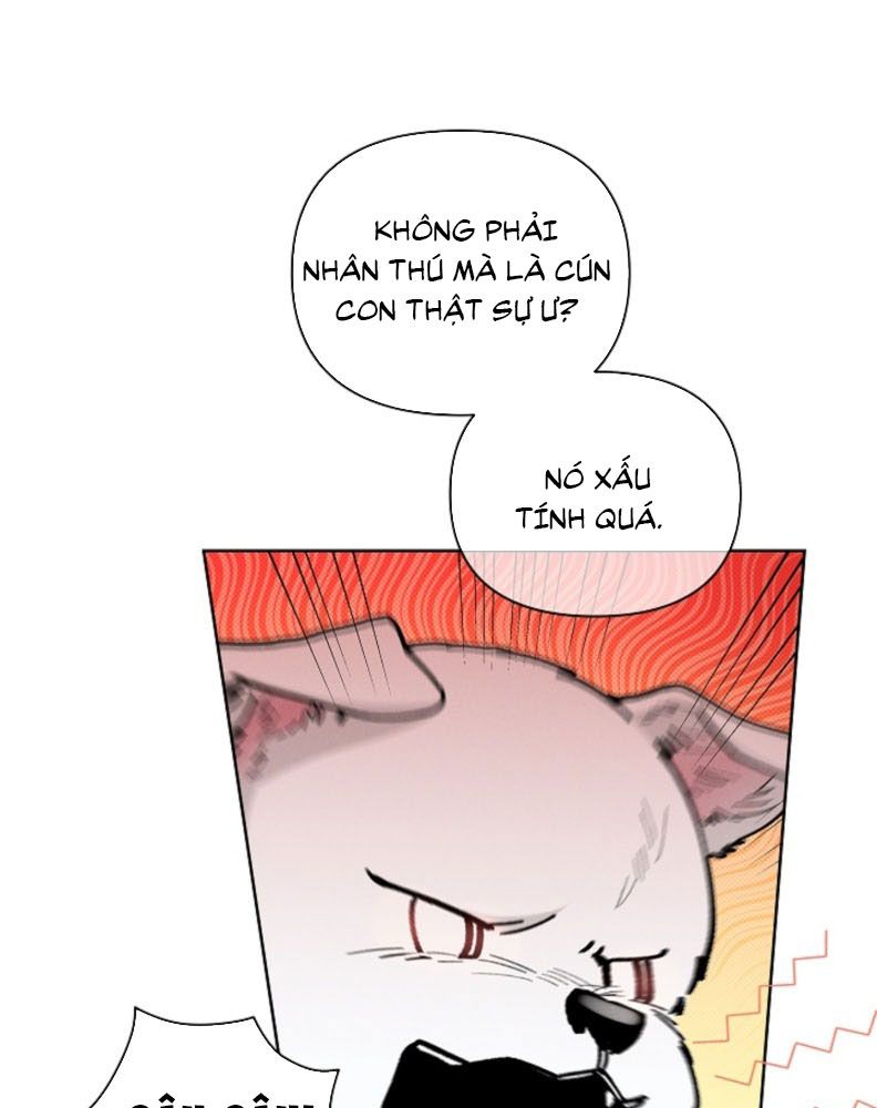 ĐỪNG CHẠM VÀO CÚN CON CỦA TÔI Chap 5 - Trang 4