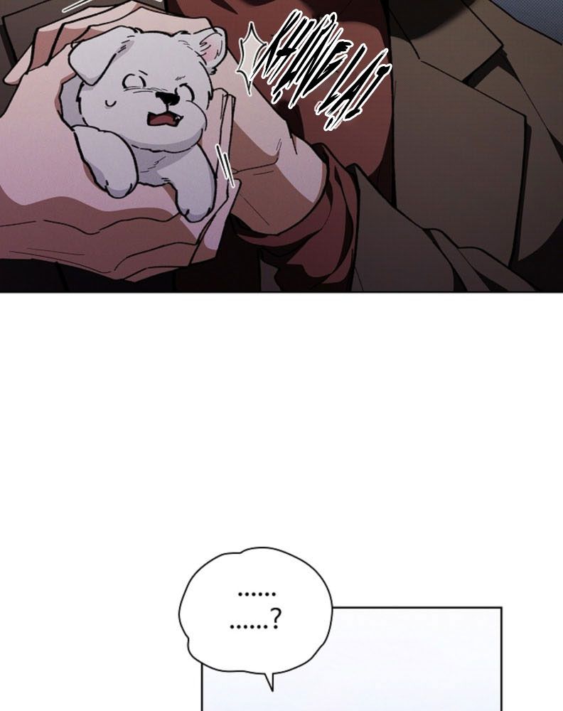 ĐỪNG CHẠM VÀO CÚN CON CỦA TÔI Chap 5 - Trang 4