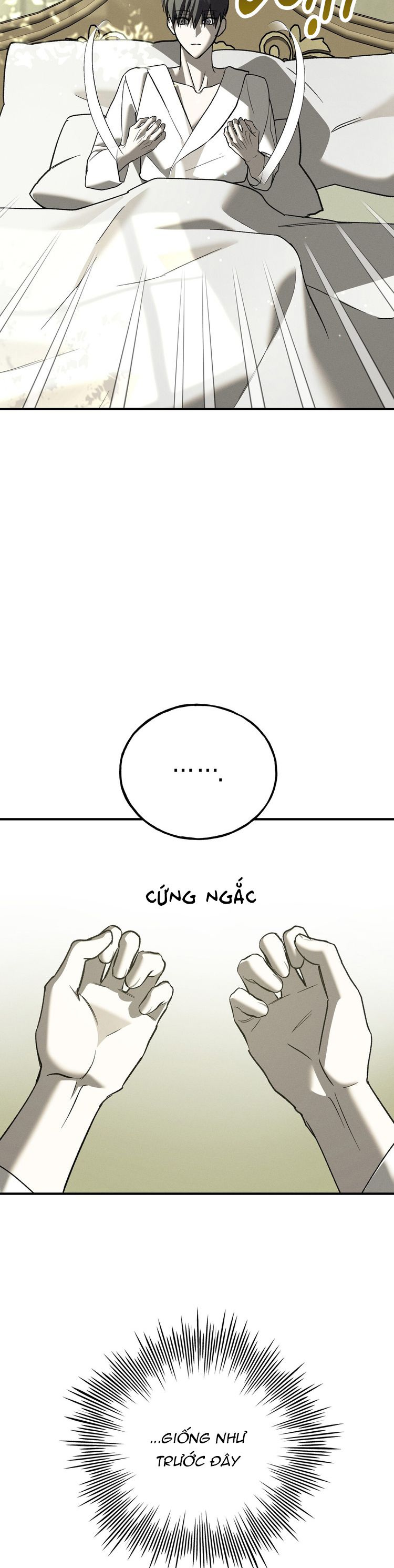 LÂU ĐÀI EBONY Chapter 11 - Next Chapter 12