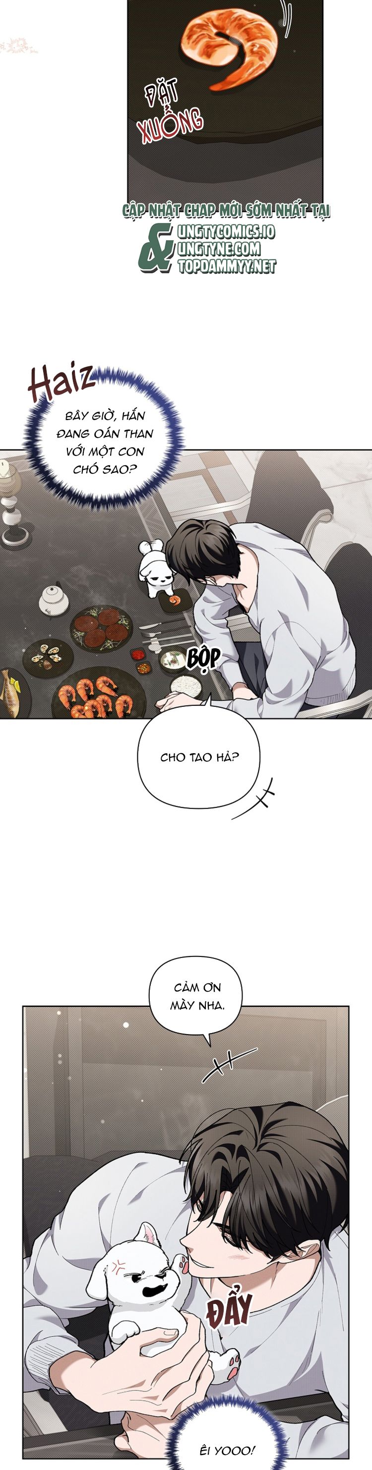 ĐỪNG CHẠM VÀO CÚN CON CỦA TÔI Chap 10 - Trang 4