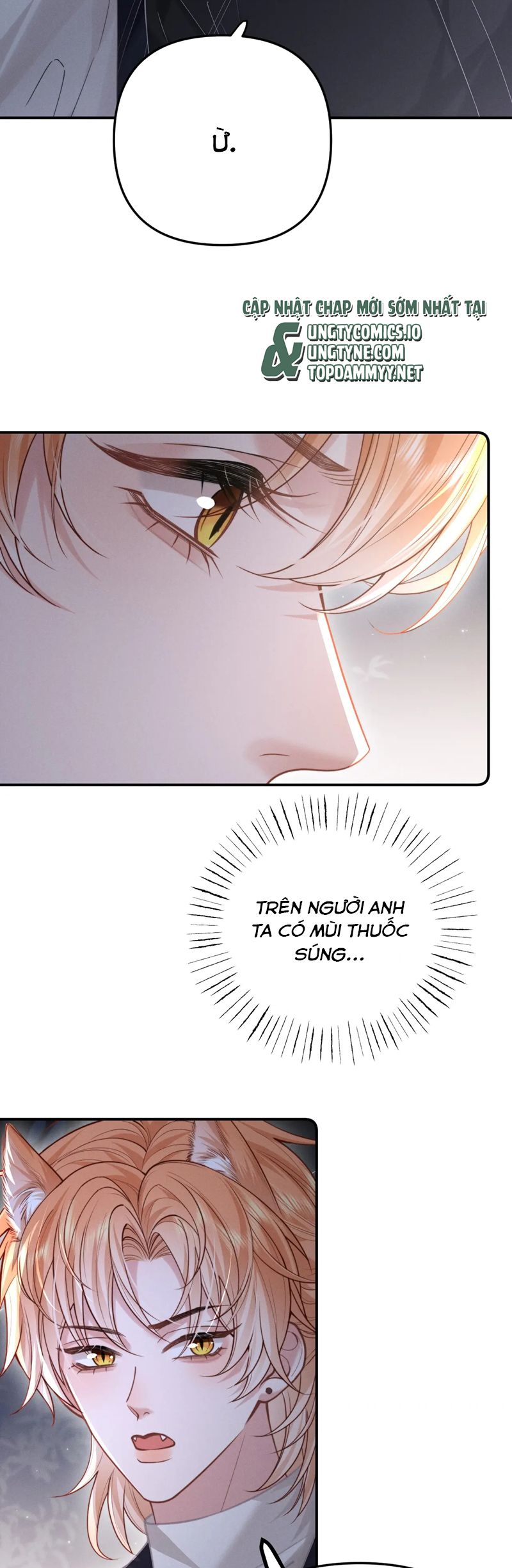 Tật Xấu Nuông Chiều Chap 11 - Trang 4