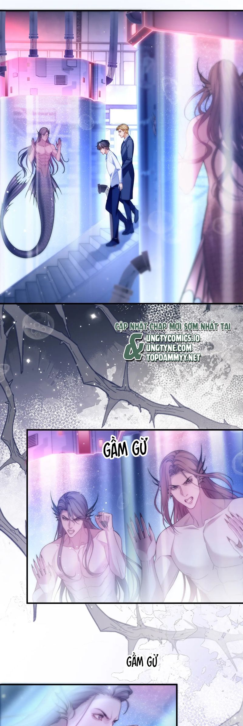 Desharow Nhân Ngư Chapter 68 - Next Chapter 69