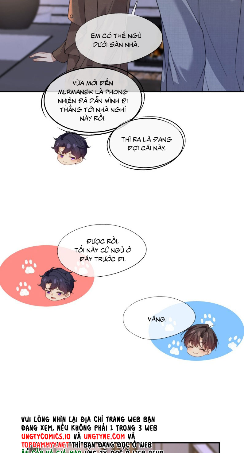 Gài Bẫy Ác Khuyển Chapter 66 - Next Chapter 67