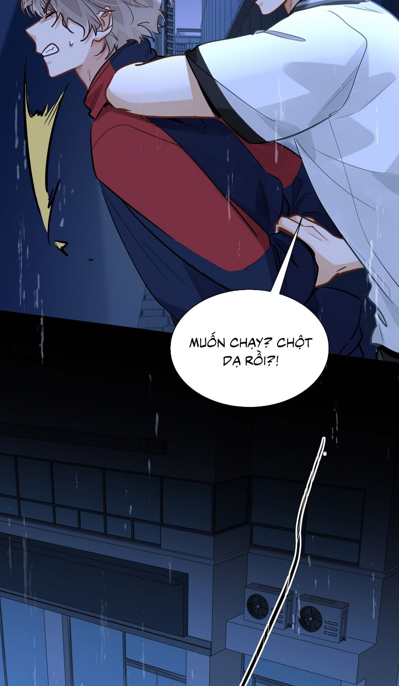 Tôi Thích Tin Tức Tố Của Cậu Chapter 52 - Trang 4