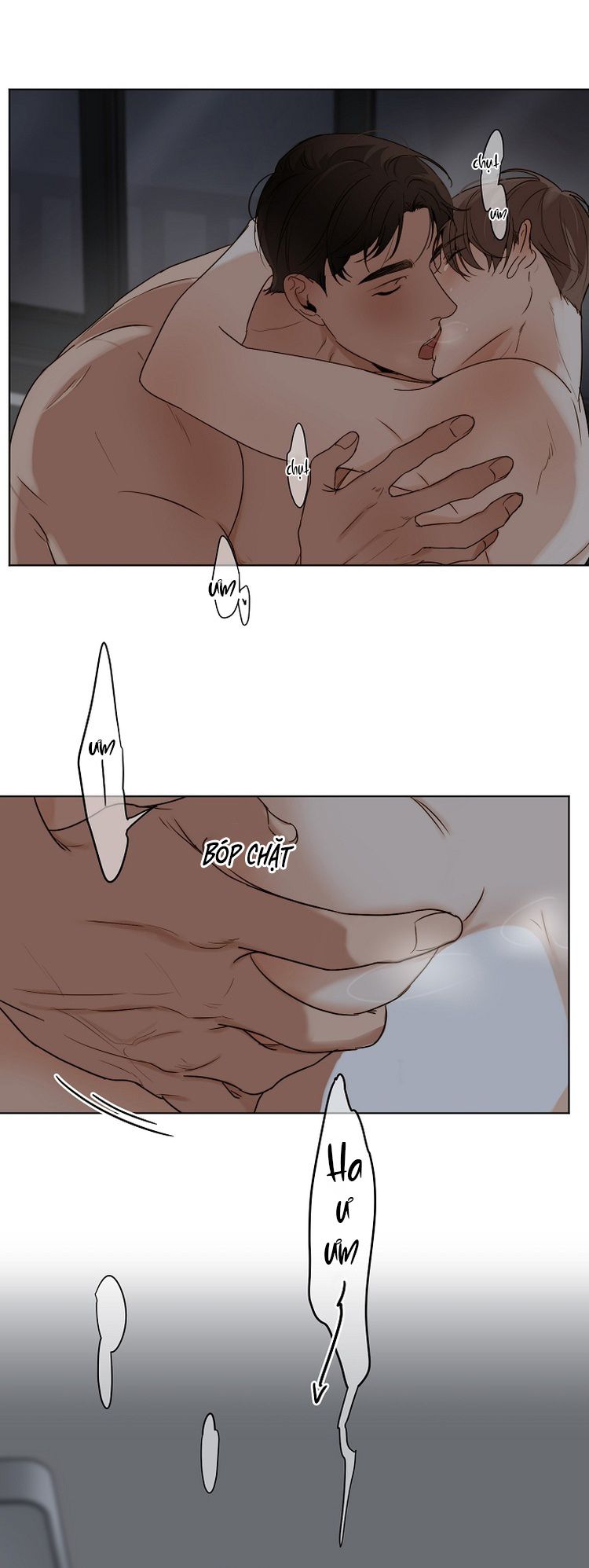 Secondo Piatto Chap 23: H+ - Trang 2