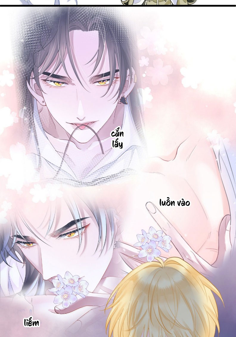 Bản Tình Ca Nụ Hôn Tù Ái Chap 9 - Trang 2