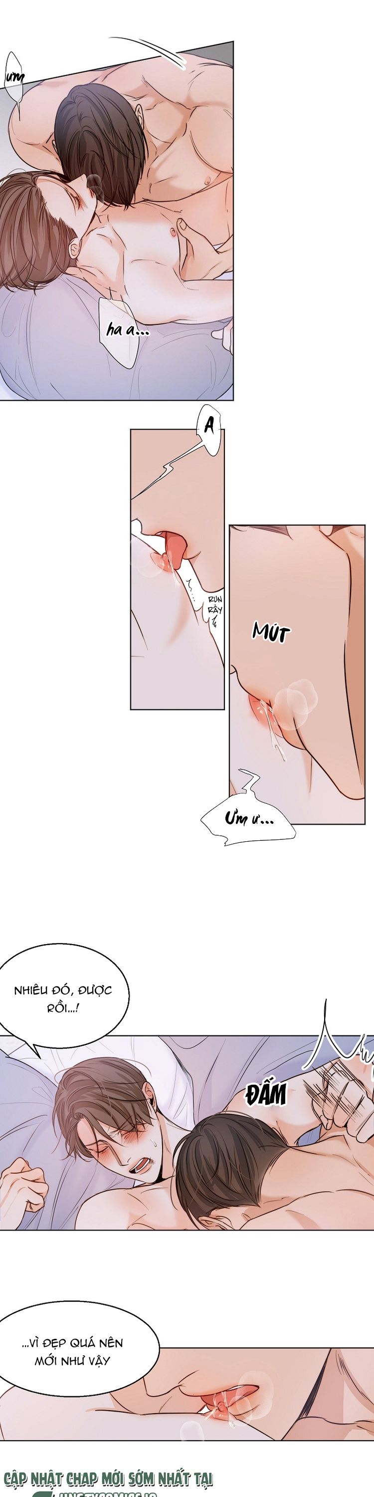 Secondo Piatto Chap 37 - Next Chap 37