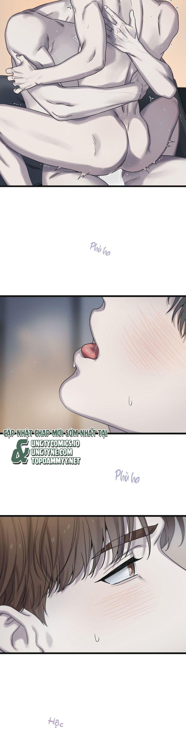 Tương Phùng Chap 70: H+ - Trang 2