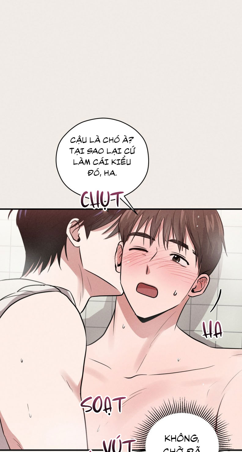 Báo Cáo Thanh Xuân 1995 Chapter 17 - Trang 3
