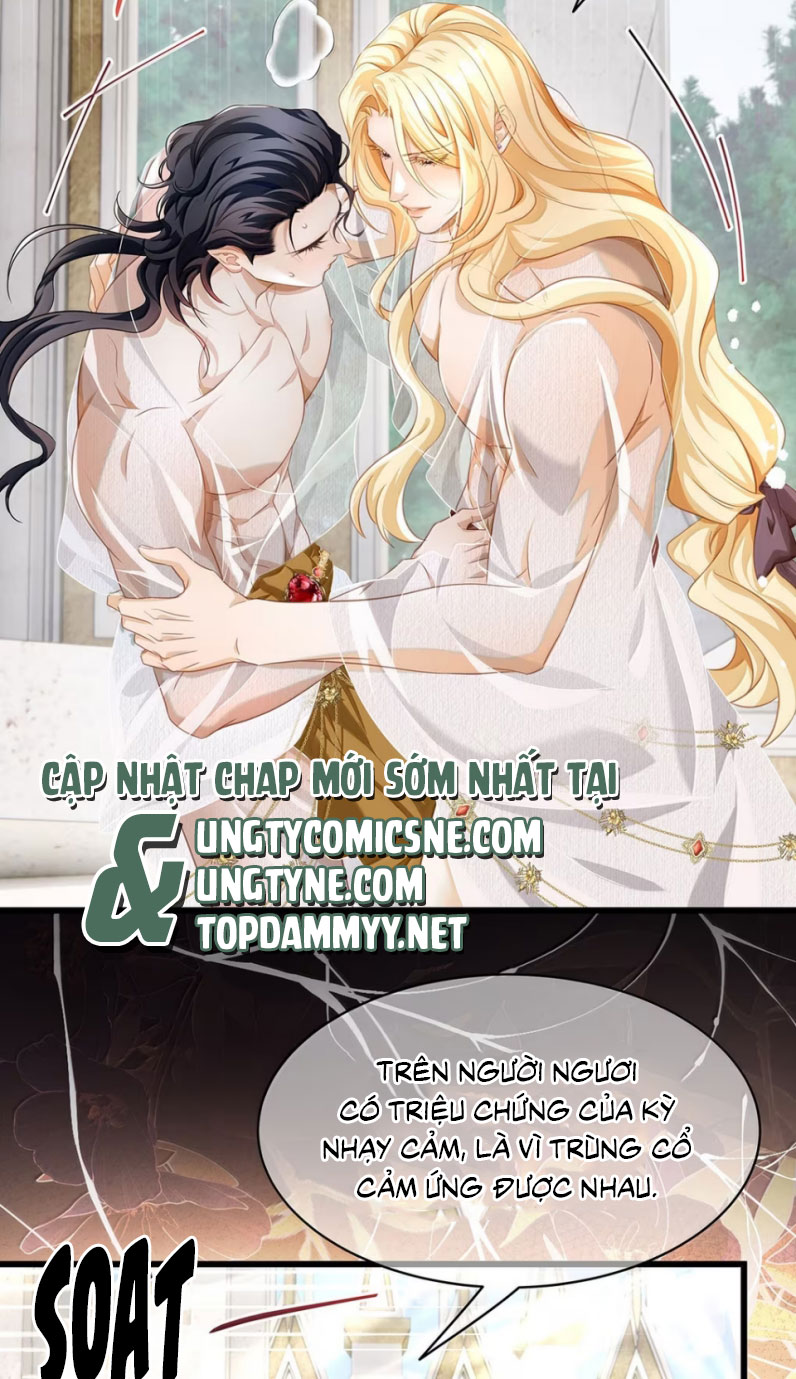 Tôi Trùng Sinh Trở Thành Tiểu Ác Long Của Vương Tử Điện Hạ Chapter 63 - Next Chapter 64