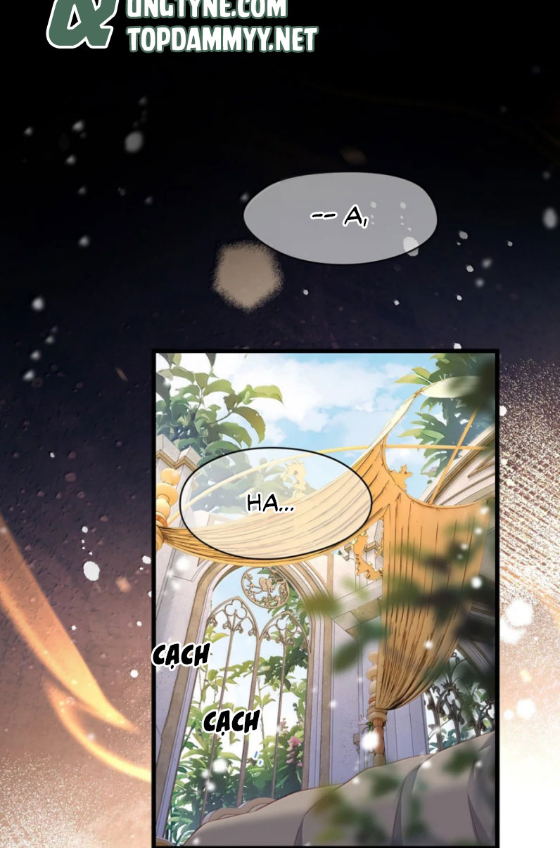 Tôi Trùng Sinh Trở Thành Tiểu Ác Long Của Vương Tử Điện Hạ Chapter 63 - Next Chapter 64