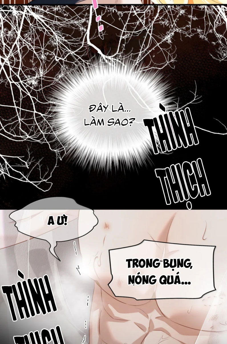 Tôi Trùng Sinh Trở Thành Tiểu Ác Long Của Vương Tử Điện Hạ Chapter 63 - Next Chapter 64