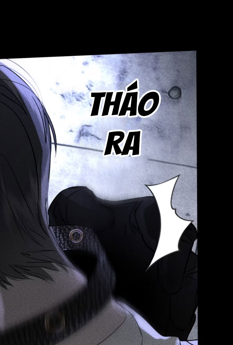 Chạy Trốn Khỏi Tầng Hầm Chap 10 - Next Chap 11