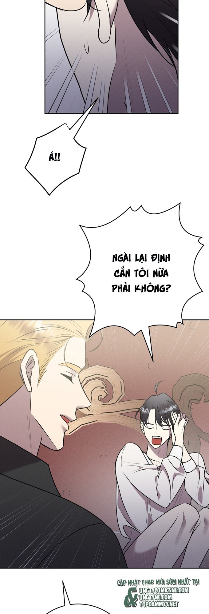 Hôn Nhân Gia Tộc Chap 15 - Next Chap 16