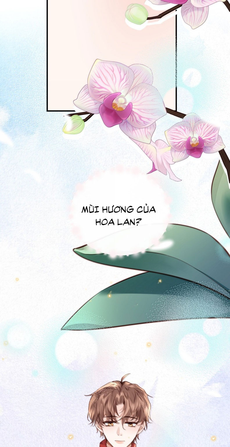 Tổng Tài Định Chế Tư Nhân Chapter 122 - Trang 4
