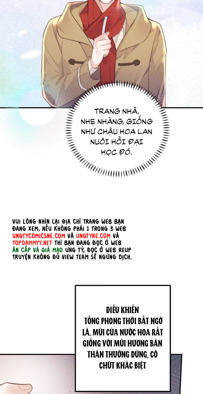 Tổng Tài Định Chế Tư Nhân Chapter 122 - Trang 4