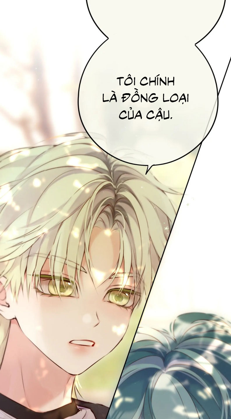 Hoặc Tinh Chi Mục Chapter 16 - Trang 4