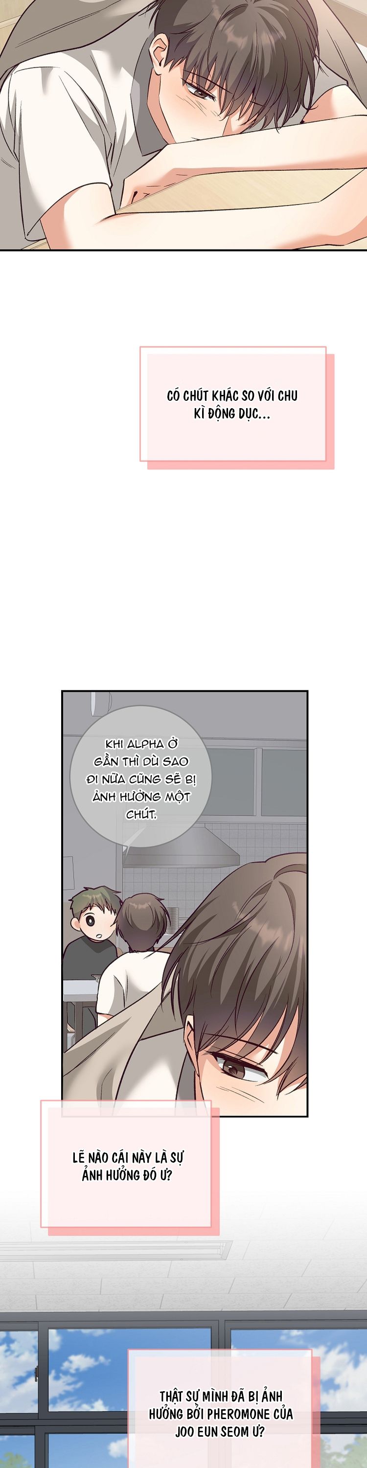 Nhật Ký Quan Sát Bồ Công Anh Chap 17 - Trang 2