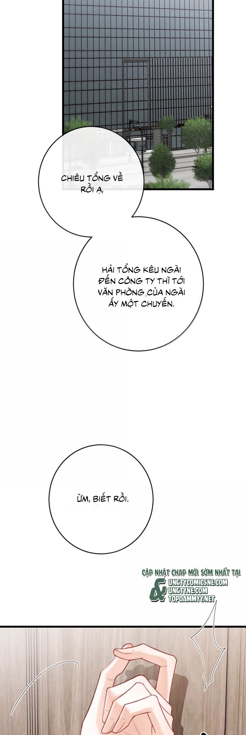 Nồng Đậm Tin Tức Tố Chapter 14 - Trang 4