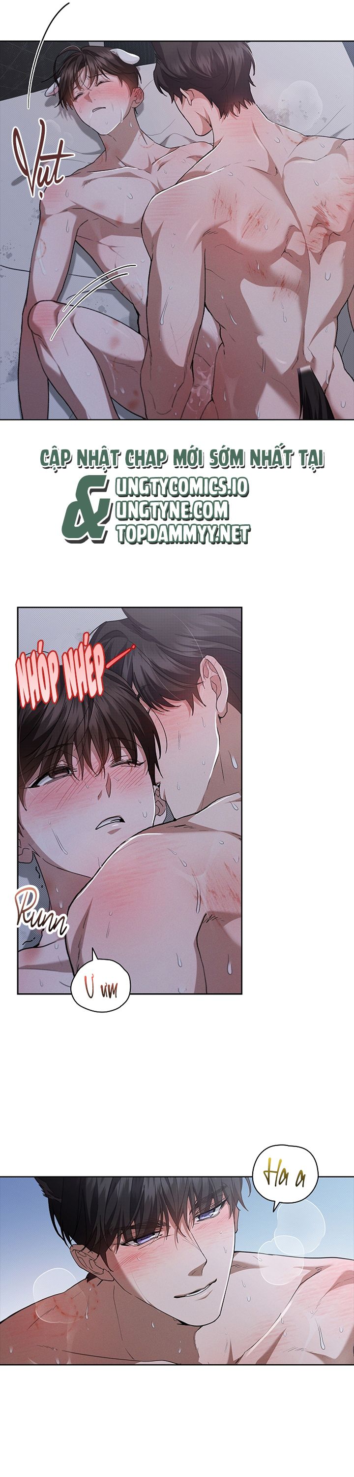ĐỪNG CHẠM VÀO CÚN CON CỦA TÔI Chap 26 - Trang 4