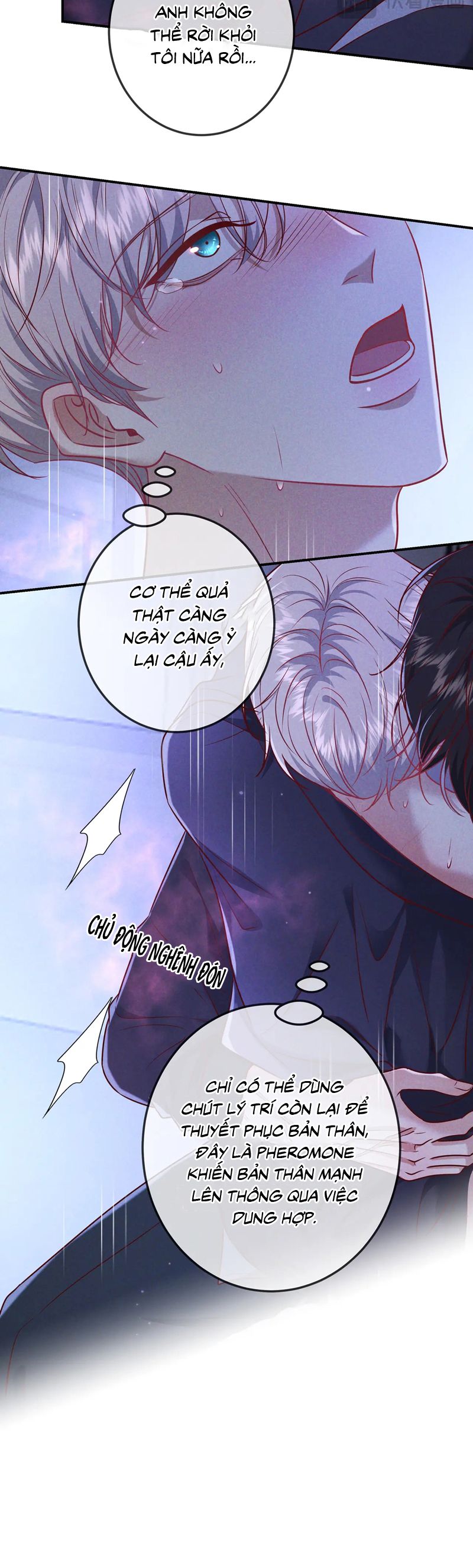 Đêm Tình Yêu Và Sát Ý Chapter 49 - Next Chapter 50