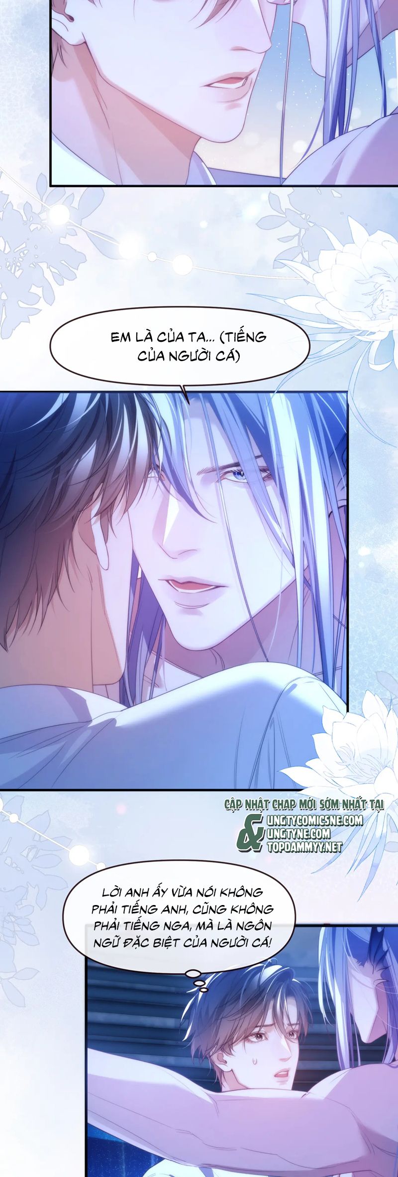 Desharow Nhân Ngư Chap 77 - Trang 2