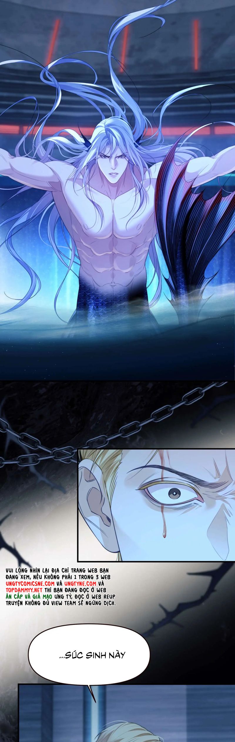 Desharow Nhân Ngư Chapter 78 - Next Chap 78