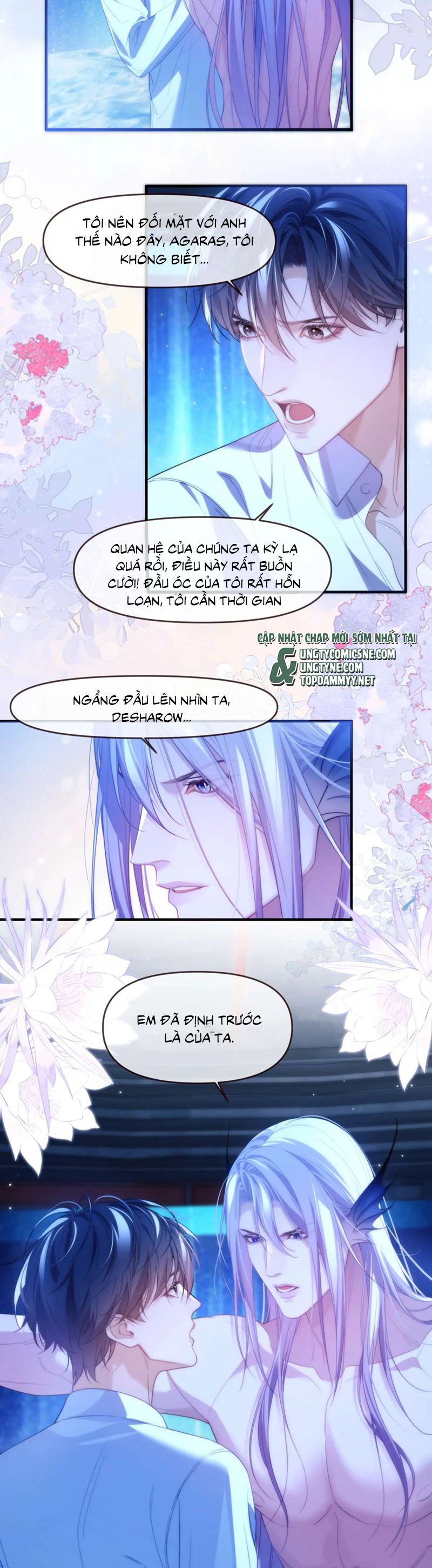 Desharow Nhân Ngư Chapter 78 - Next Chap 78