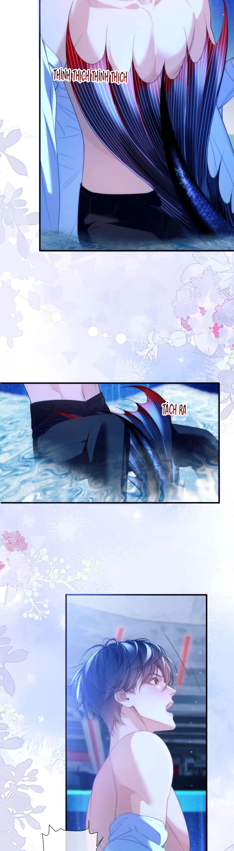 Desharow Nhân Ngư Chapter 78 - Next Chap 78