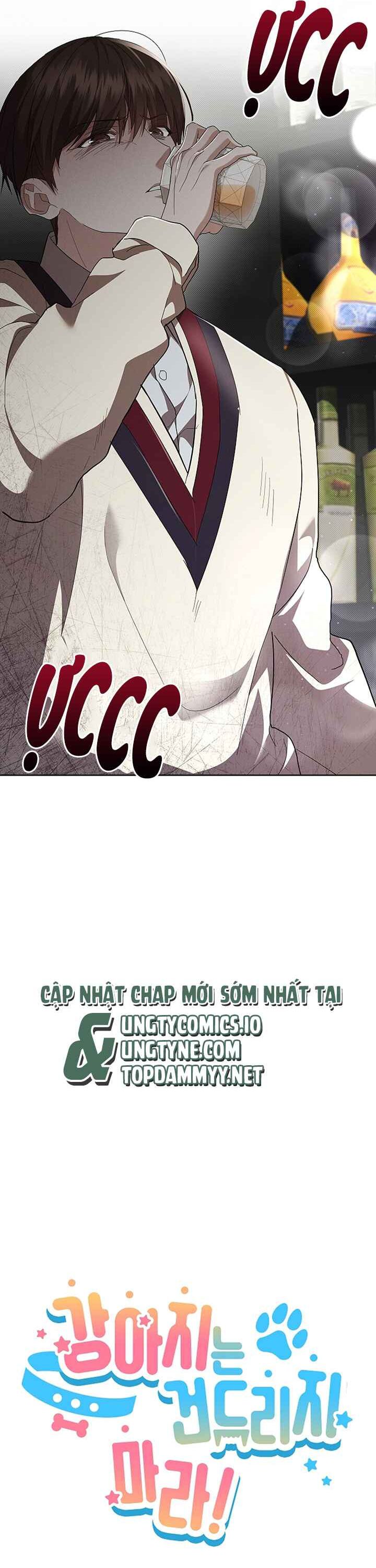 ĐỪNG CHẠM VÀO CÚN CON CỦA TÔI Chap 29 - Trang 4