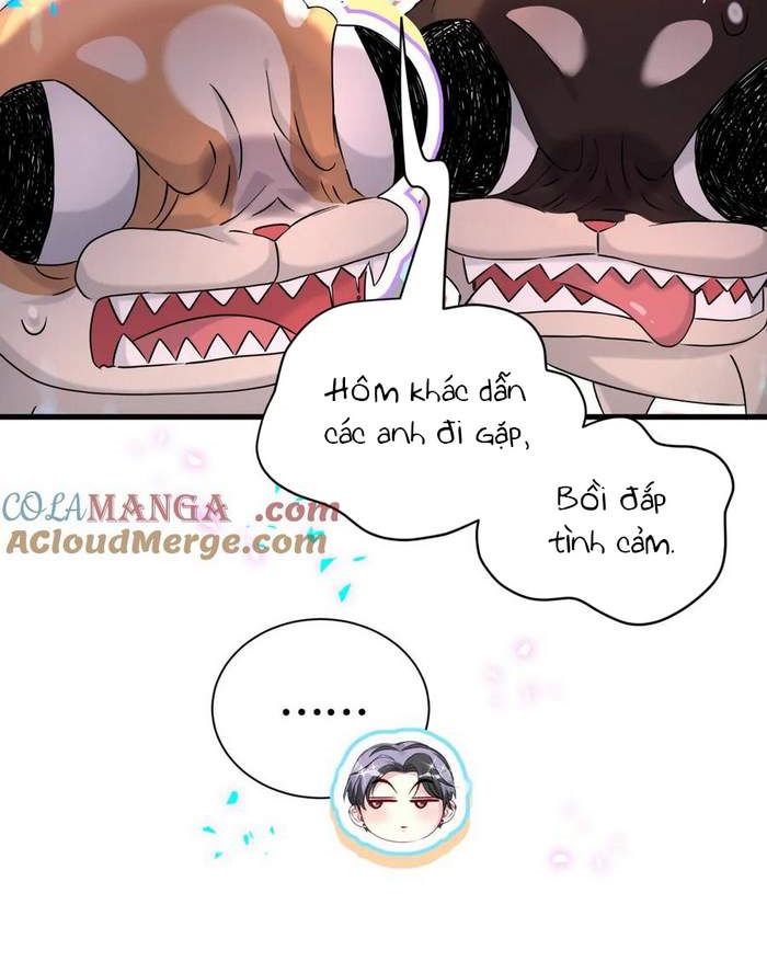 Đại Bảo Bối Từ Đâu Tới Chap 287 - Trang 2