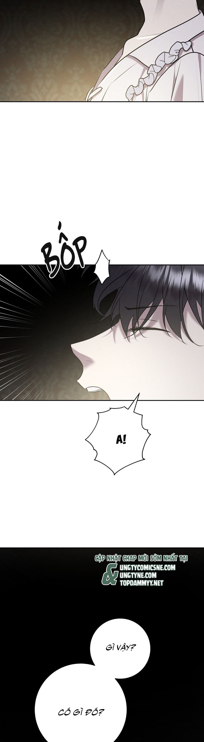 Hôn Nhân Gia Tộc Chap 21 - Trang 3