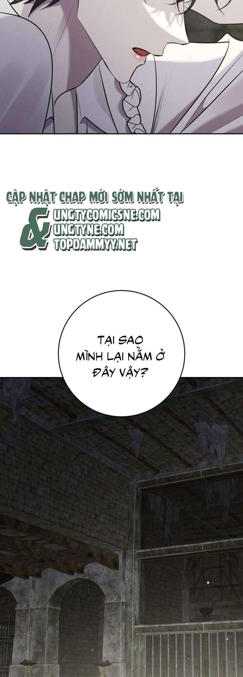 Hôn Nhân Gia Tộc Chap 22 - Trang 2