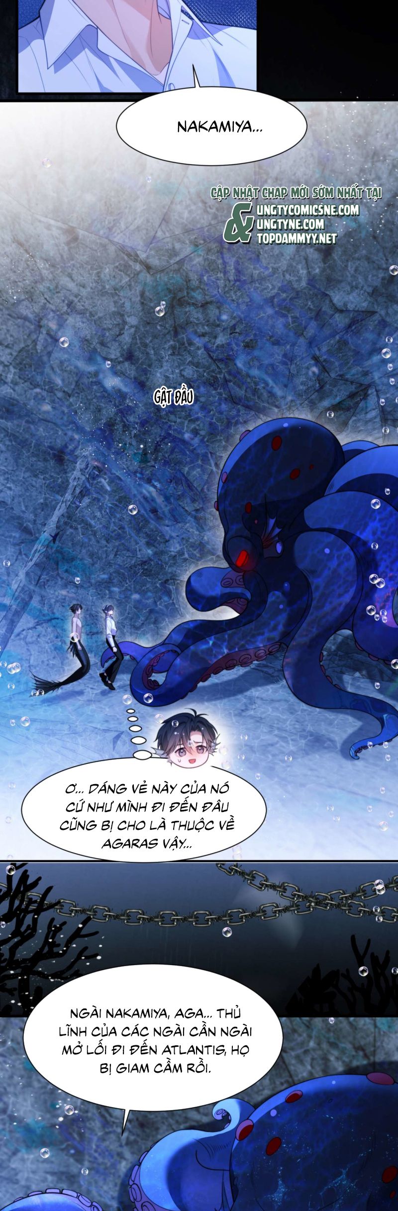 Desharow Nhân Ngư Chap 83 - Next Chap 84