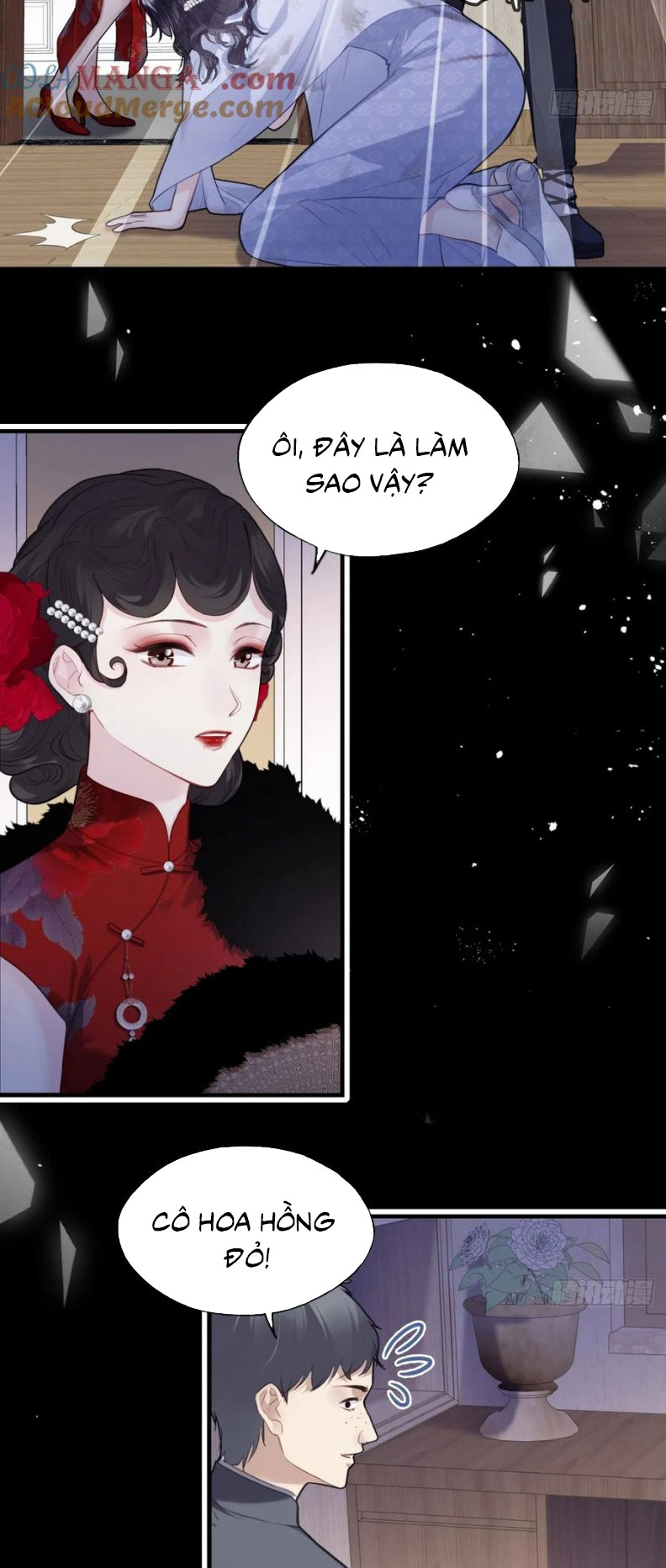 Anh Ấy Chưa Từng Rơi Xuống Chap 119 - Next 