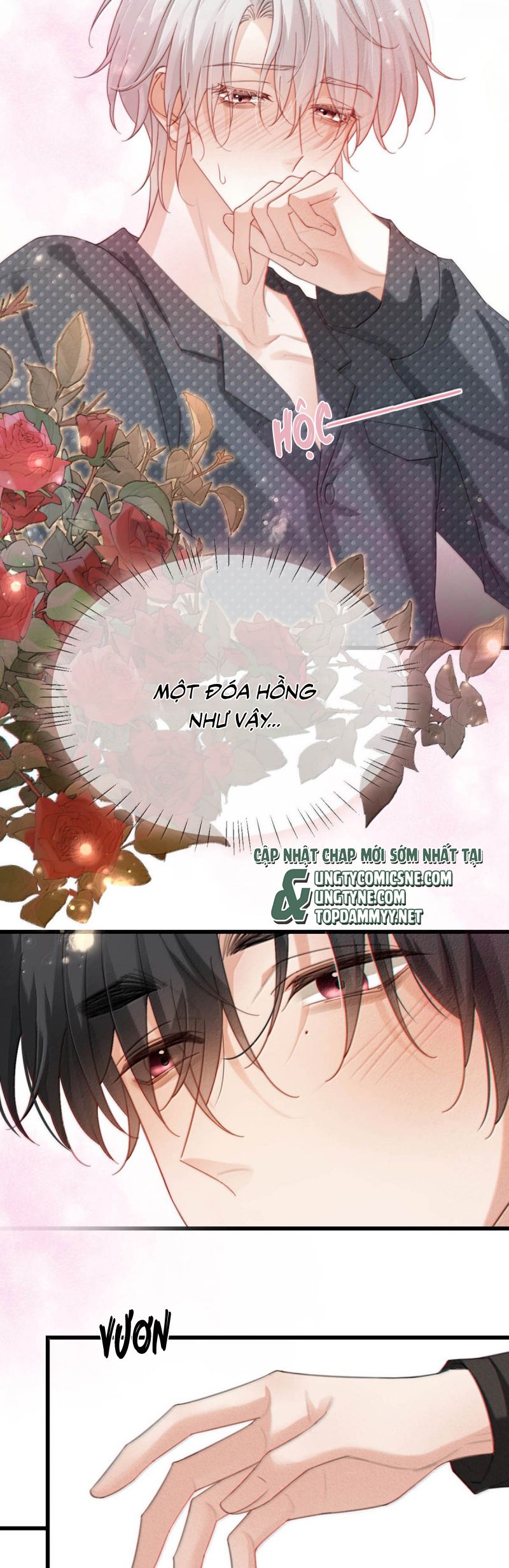 Nồng Đậm Tin Tức Tố Chapter 24 - Next Chap 25