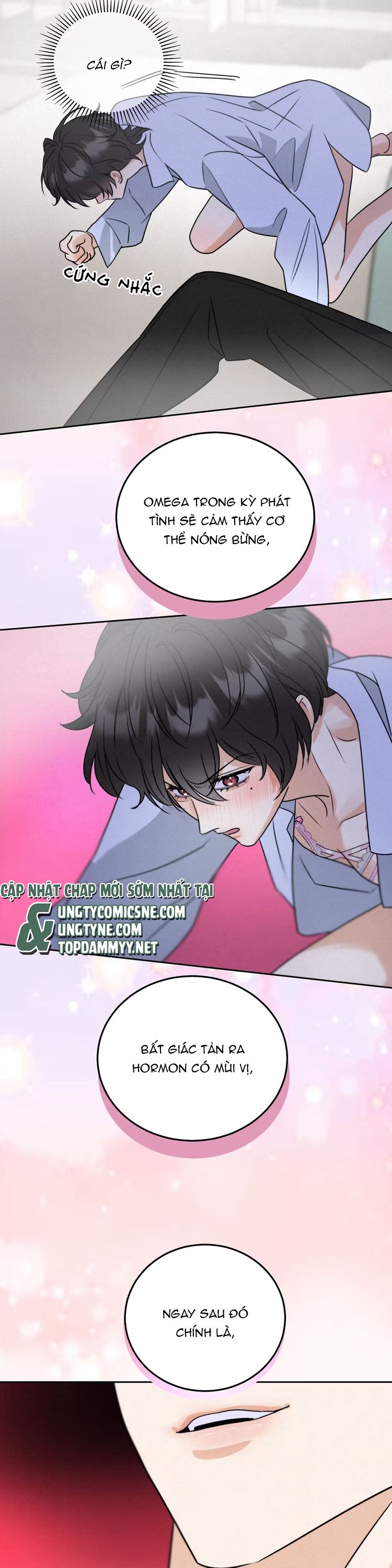 Xuyên Thành Con Ngỗng Vàng Của Đại Lão Alpha Chap 2 - Trang 2