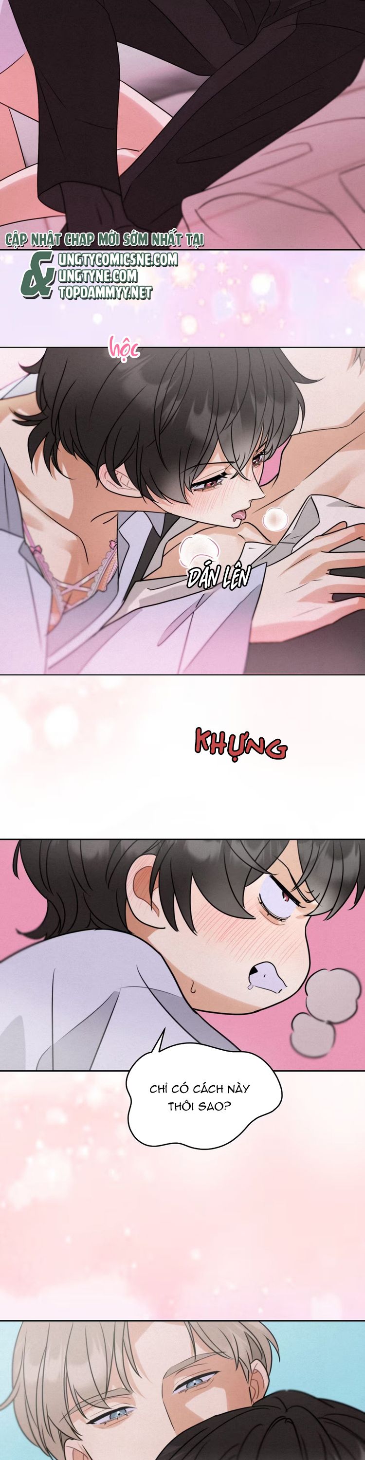 Xuyên Thành Con Ngỗng Vàng Của Đại Lão Alpha Chap 2 - Trang 2
