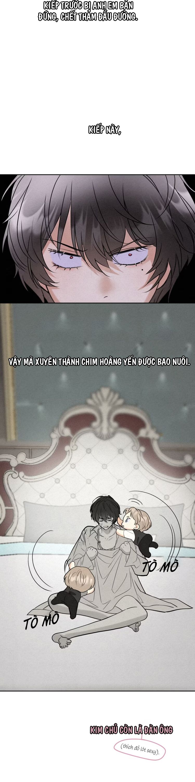 Xuyên Thành Con Ngỗng Vàng Của Đại Lão Alpha Chap 2 - Trang 2