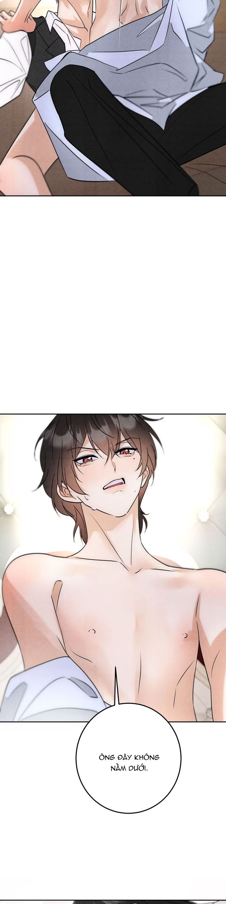 Xuyên Thành Con Ngỗng Vàng Của Đại Lão Alpha Chap 3 - Trang 2