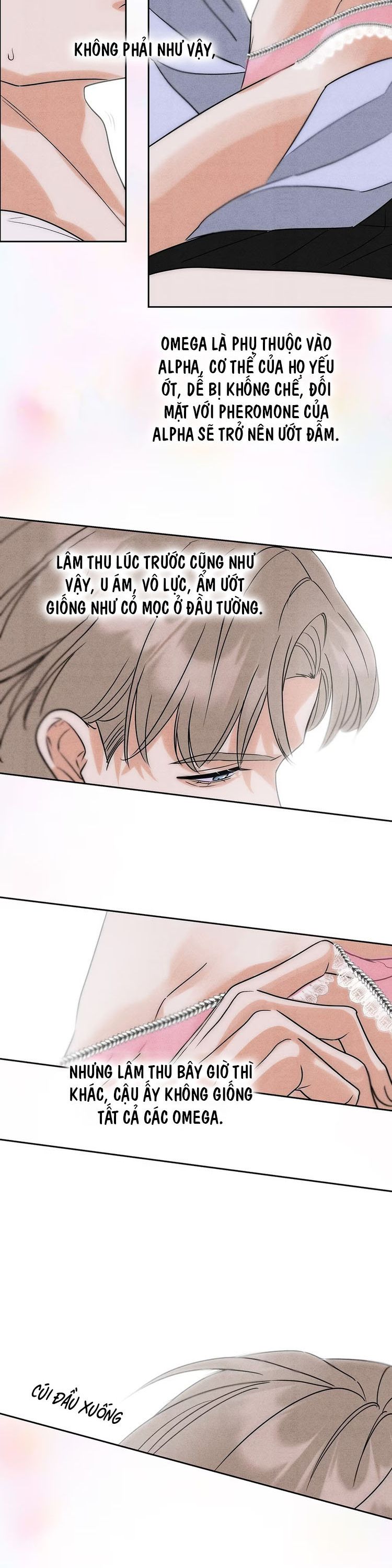 Xuyên Thành Con Ngỗng Vàng Của Đại Lão Alpha Chap 3 - Trang 2