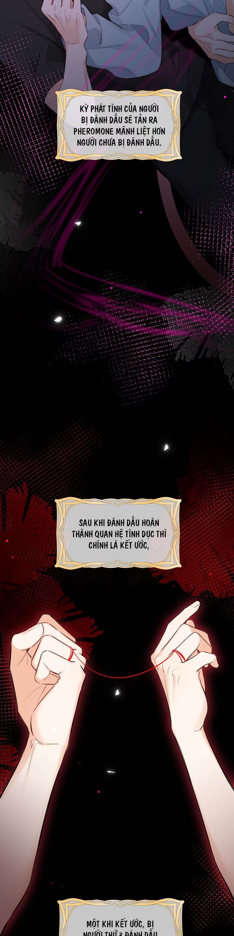 Lang Quân Muốn Chịu Trách Nhiệm Với Tôi Chap 3 - Next Chap 4