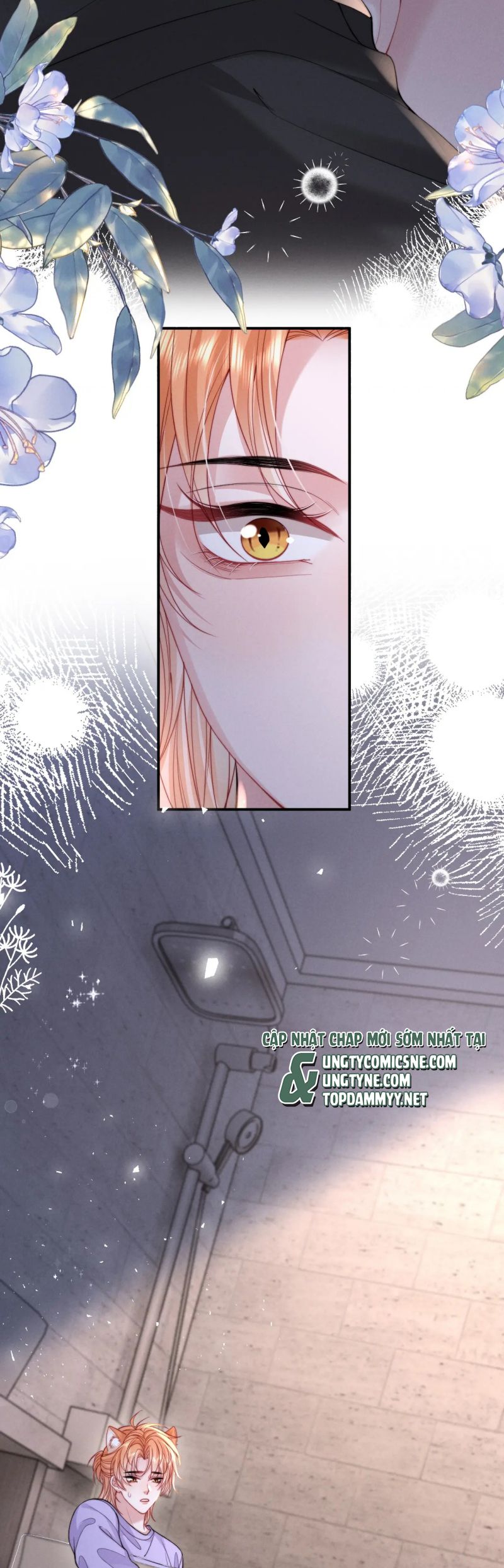 Tật Xấu Nuông Chiều Chap 39 - Next 