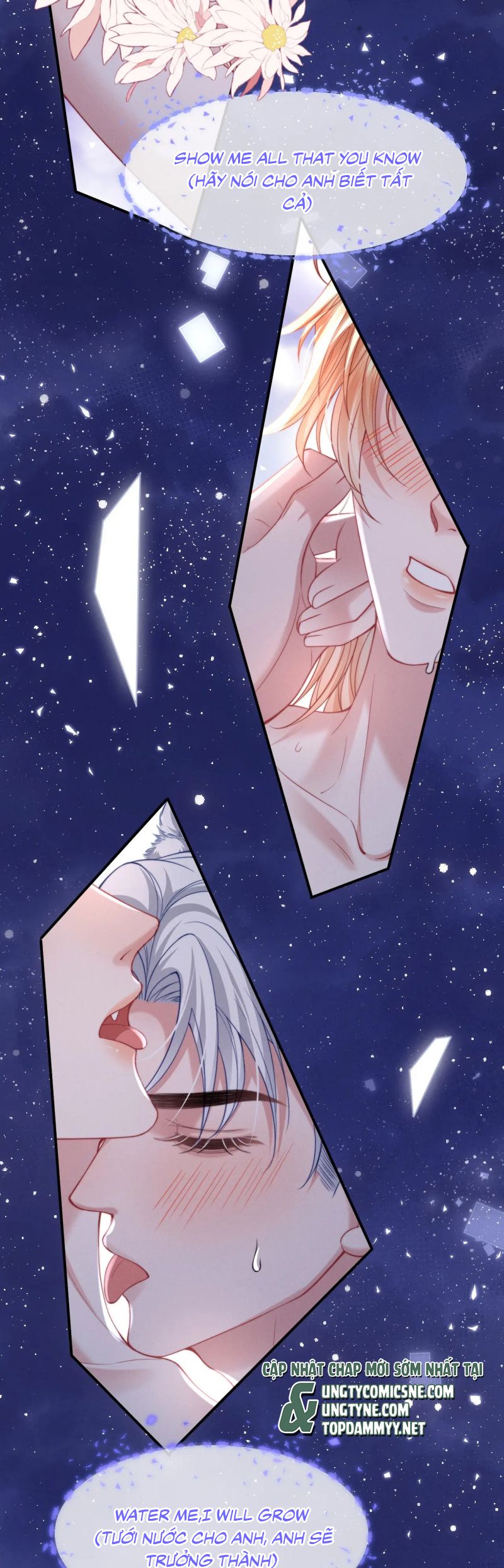 Tật Xấu Nuông Chiều Chap 39 - Next 