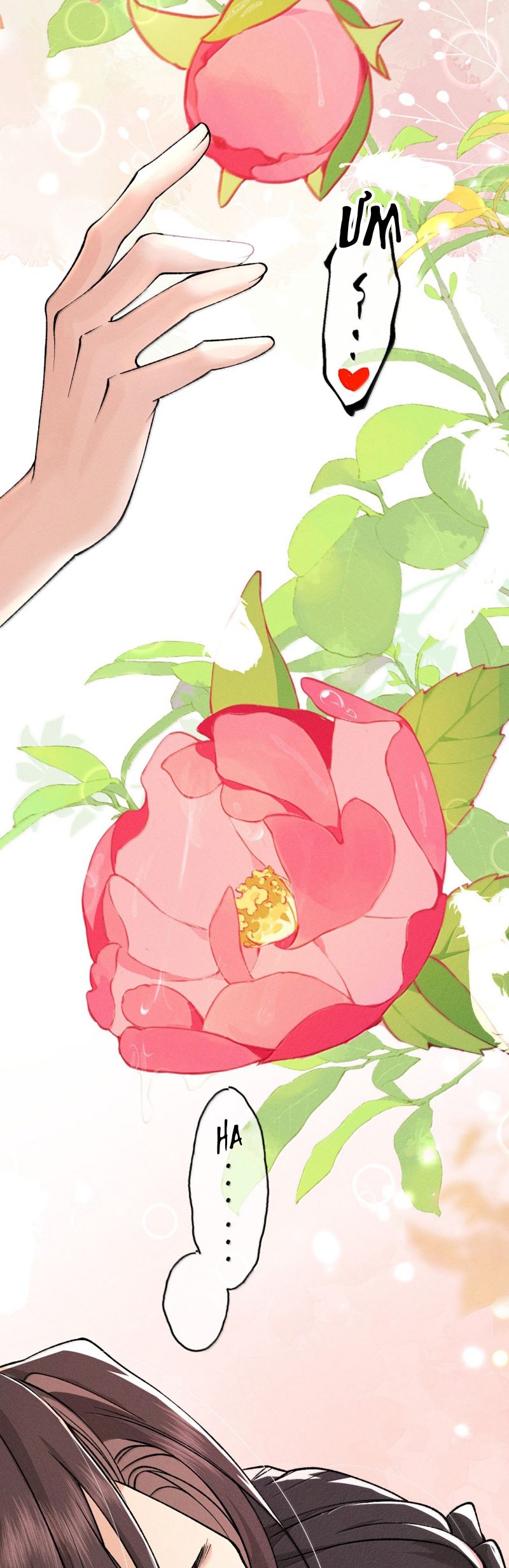 Hải Vương Sau Khi Hoàn Lương Sa Vào Tu La Tràng Chap 44 - Trang 4