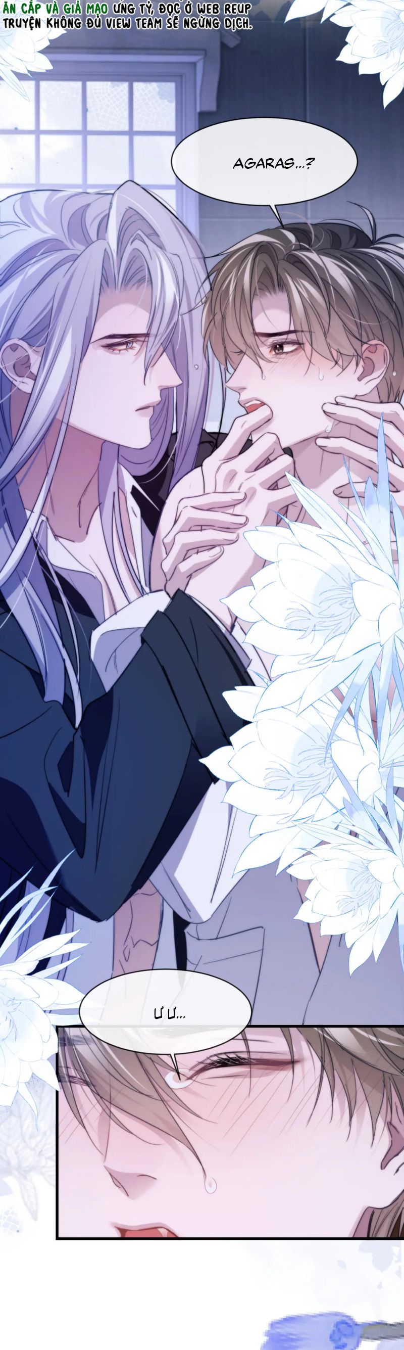 Desharow Nhân Ngư Chap 94 - Next 